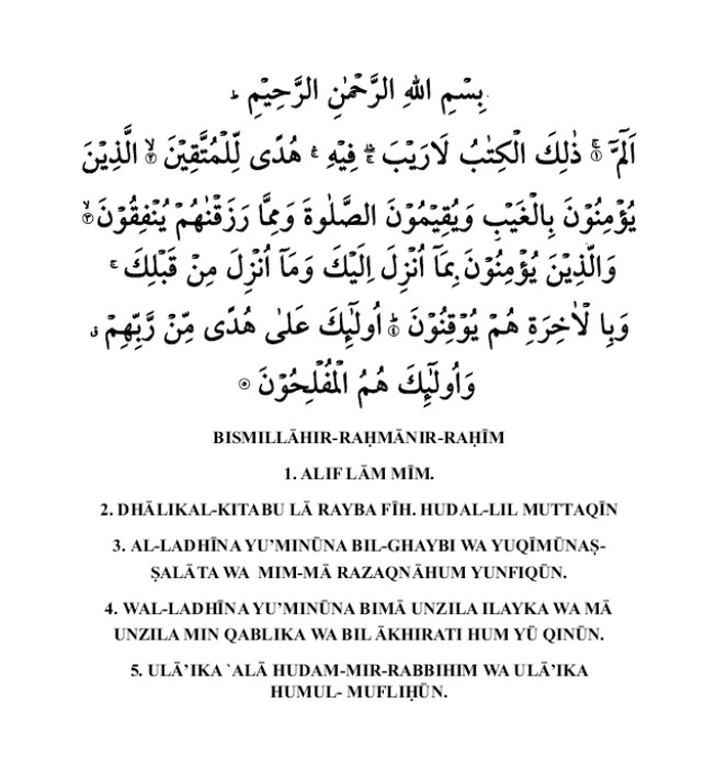 dafan2