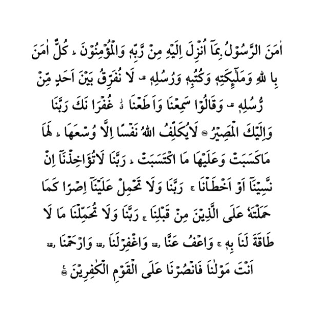 dafan4